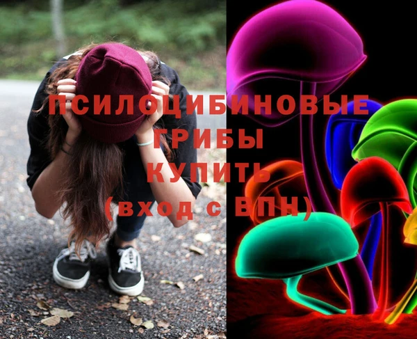 не бодяженный Алексин