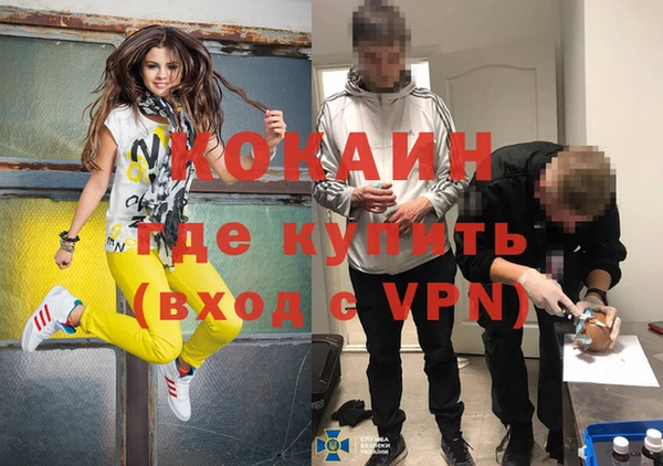 не бодяженный Алексин