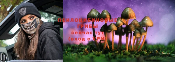 СК Алзамай