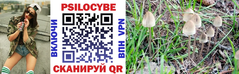Галлюциногенные грибы Magic Shrooms  Шатура 