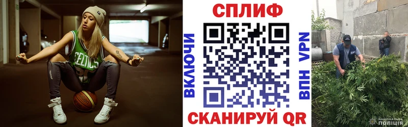 Каннабис тримм  где найти наркотики  Шатура 